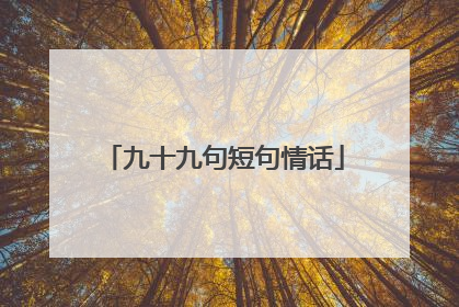 九十九句短句情话