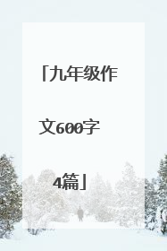 九年级作文600字4篇