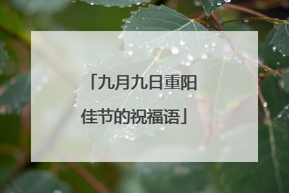 九月九日重阳佳节的祝福语