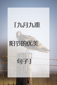 九月九重阳节的优美句子
