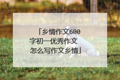 乡情作文600字初一优秀作文 怎么写作文乡情