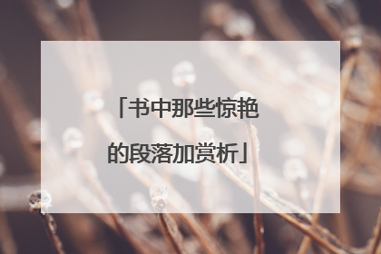 书中那些惊艳的段落加赏析