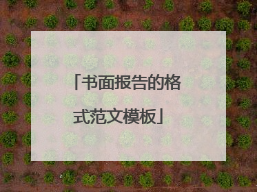 书面报告的格式范文模板