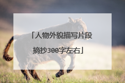 人物外貌描写片段摘抄300字左右