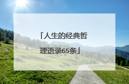 人生的经典哲理语录65条