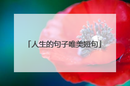 人生的句子唯美短句