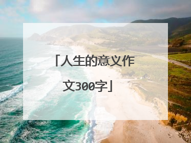 人生的意义作文300字