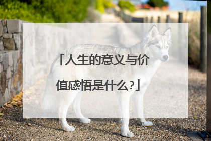 人生的意义与价值感悟是什么?