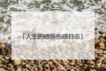 人生的感悟伤感日志