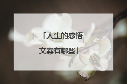 人生的感悟文案有哪些