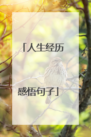 人生经历感悟句子