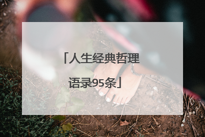 人生经典哲理语录95条