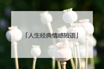 人生经典情感短语