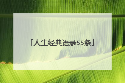 人生经典语录55条