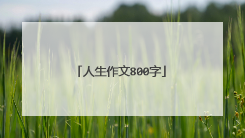 人生作文800字