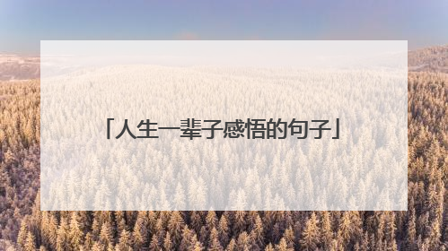 人生一辈子感悟的句子