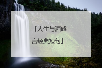 人生与酒感言经典短句