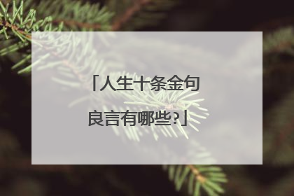 人生十条金句良言有哪些?