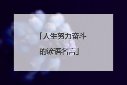 人生努力奋斗的谚语名言