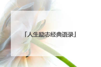 人生励志经典语录