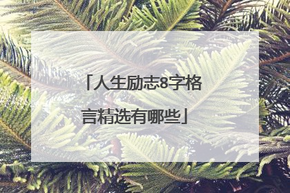 人生励志8字格言精选有哪些