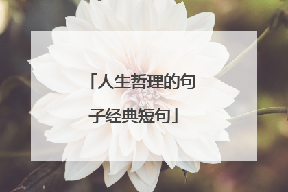 人生哲理的句子经典短句