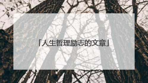 人生哲理励志的文章