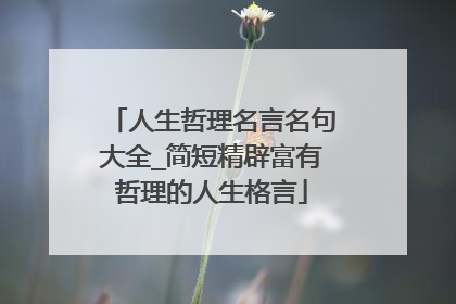 人生哲理名言名句大全_简短精辟富有哲理的人生格言