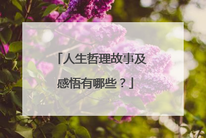 人生哲理故事及感悟有哪些？