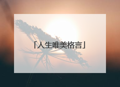 人生唯美格言