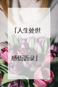人生处世感悟语录