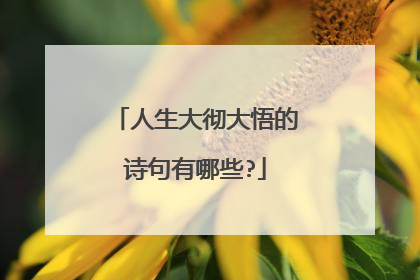 人生大彻大悟的诗句有哪些?