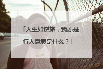 人生如逆旅，我亦是行人意思是什么？