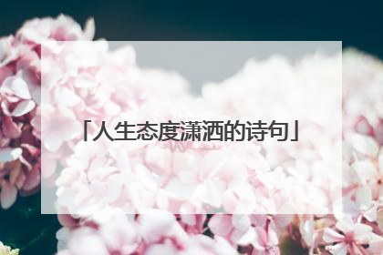 人生态度潇洒的诗句
