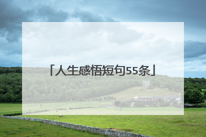 人生感悟短句55条