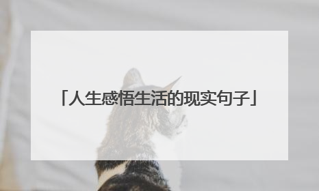 人生感悟生活的现实句子