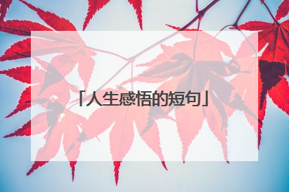 人生感悟的短句