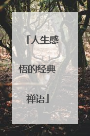 人生感悟的经典禅语