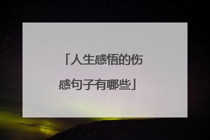 人生感悟的伤感句子有哪些