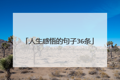人生感悟的句子36条