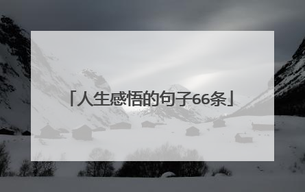 人生感悟的句子66条