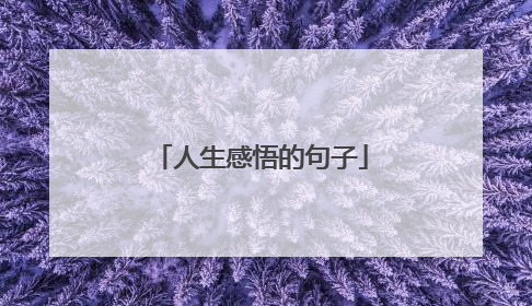 人生感悟的句子