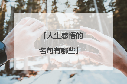 人生感悟的名句有哪些