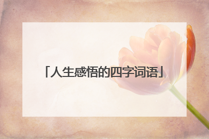 人生感悟的四字词语
