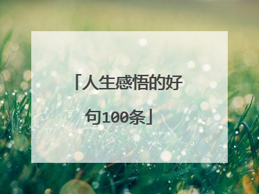 人生感悟的好句100条