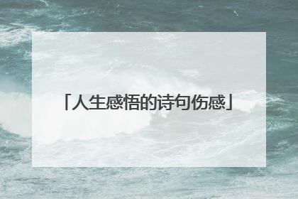 人生感悟的诗句伤感