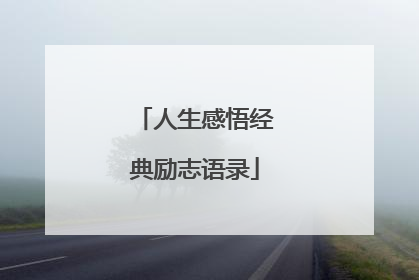 人生感悟经典励志语录