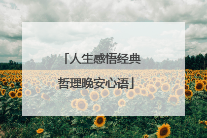 人生感悟经典哲理晚安心语