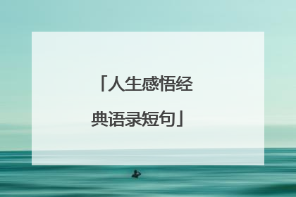 人生感悟经典语录短句