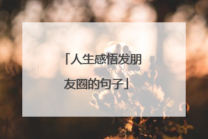 人生感悟发朋友圈的句子